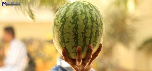 娱乐圈可以吃大瓜